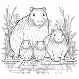 Capybara Kids coloring Page Line Art 25535964 Vector At Vecteezy sketch template