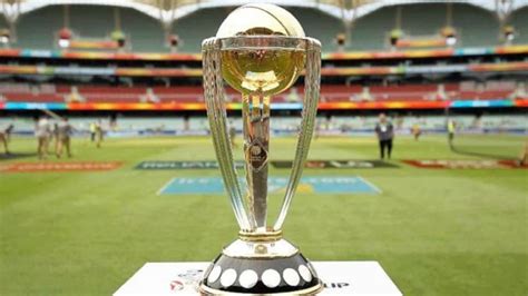 How the Cricket World Cup 2023 is Transforming the Sports Industry in the UAE Region - Local ...