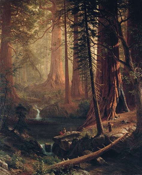 Giant Redwood Trees Of California Painting by Albert Bierstadt