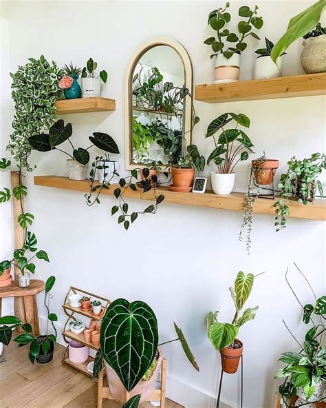 9 Creative Ways Plant Lovers Display Their Greenery — Domino | Room with plants, Indoor plant ...