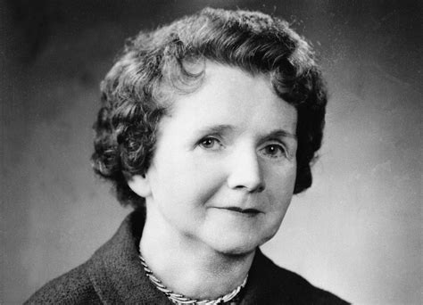 Rachel Carson Biography - Childhood, Life Achievements & Timeline