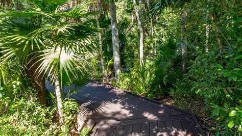 KEY WEST BOTANICAL GARDEN TURNS 85 - Florida Keys Weekly Newspapers