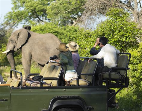 The African Safari's Big Five