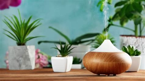 11 Essential Oils Diffuser Benefits | Life Beyond Organic