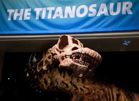 Remember the Titanosaur | The New Yorker