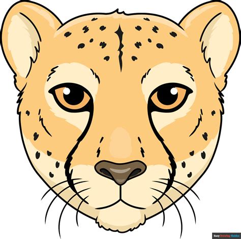 How to Draw a Cheetah Face - Really Easy Drawing Tutorial