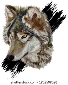 Grey Wolf Realistic Vector Art Stock Vector (Royalty Free) 1952599528 ...