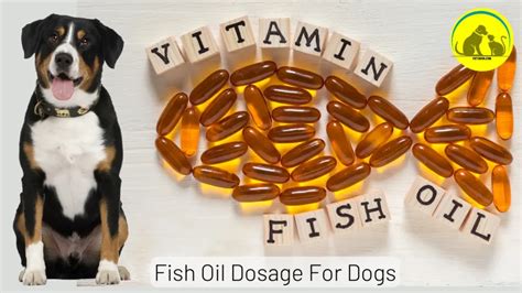 Fish Oil Dosage For Dogs: Ideal Dosage Chart By Weight