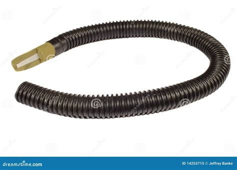 Elk bugle call stock image. Image of sound, copy, attract - 14253715