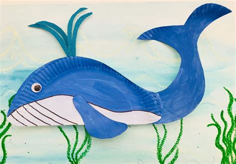 Whale Drawing For Kids