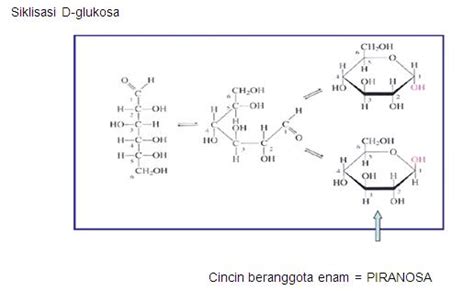 STRUKTUR KONFORMASI GLUKOSA - Agus Nurul Komarudin