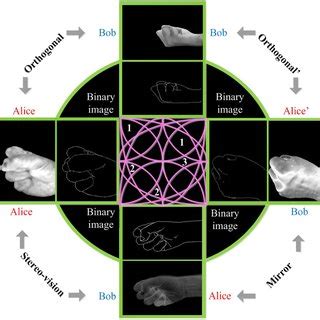 Reduced images of views from orthogonal, orthogonal’, stereo-vision,... | Download Scientific ...