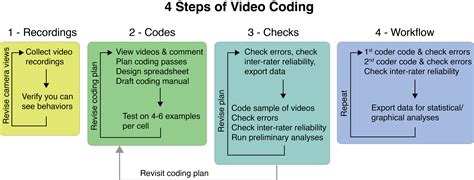 4 Steps of Video Coding || Datavyu: Video coding and data visualization tool