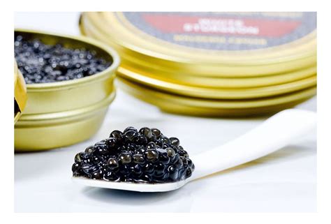 White Sturgeon Caviar