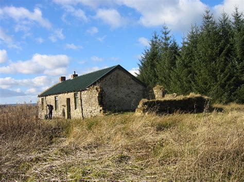 Green, Wark Forest © Les Hull :: Geograph Britain and Ireland