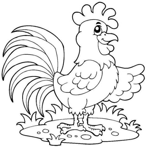 tranh tô màu con gà - Tranh tô màu con gà trống - Kiến Thức Vui