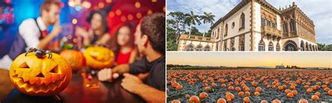 Fun Fall Events in Sarasota | BLVD Sarasota, FL