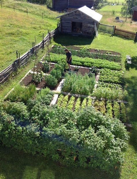 Mon Atelier Déco | Jardin de ferme, Jardin potager, Amenagement jardin