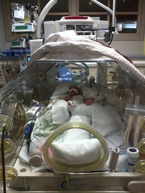 A day in the NICU - Shann Eva's Blog