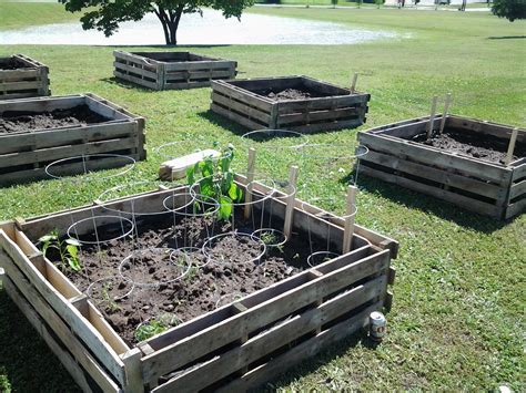 raised bed garden plots made from pallets :) 3 ft X3 ft and 18 in deep | Pallets garden, Raised ...