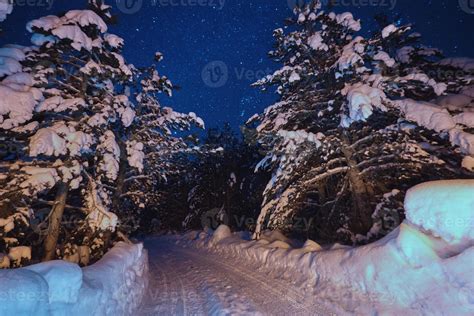 winter night landscape nature forest 10702460 Stock Photo at Vecteezy