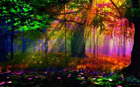 Download Colors Sunlight Fall Tree Earth Artistic Forest HD Wallpaper