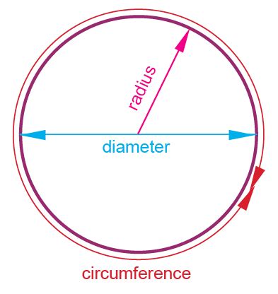 Circumference, radius and diameter explained | Circles in primary geometry | TheSchoolRun