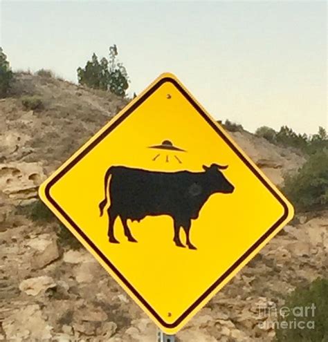 New Mexico road signs Photograph by Tina M Powell - Pixels