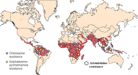 Geographic distribution of antimalarial drug resistant P. falciparum.... | Download Scientific ...