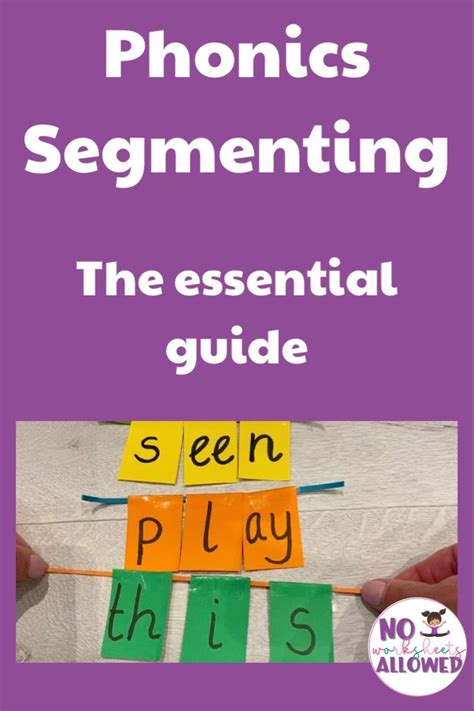 Phonics and Segmenting: The Essential Guide in 2023 | Phonics, Phonics books, Phonics programs