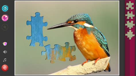 Animals - Classic Jigsaw Puzzles on Steam