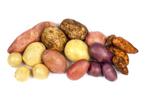 Specialty Potato Products & Potato Varieties California