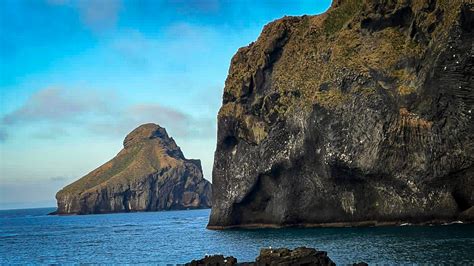 Vestmanneyjar Islands a bird and nature paradise in South Iceland near ...