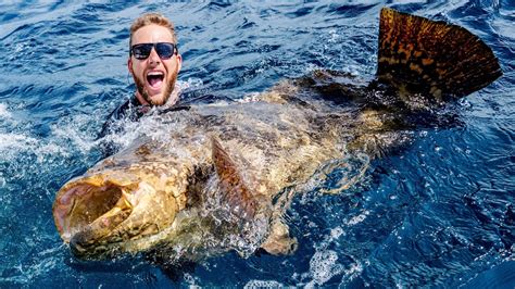 Giant Grouper Fishing Battle - YouTube