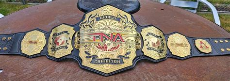 Brand New TNA World Championship 2024 : r/SquaredCircle