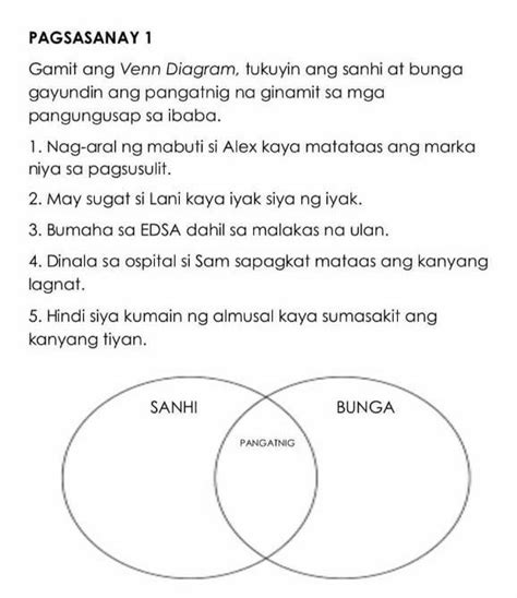 Sanhi At Bunga Diagram