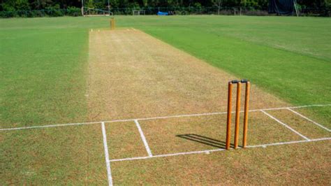 Cricket Pitch - A Comprehensive Guide to Cricket Pitches, Types and Qualities - cricketusc