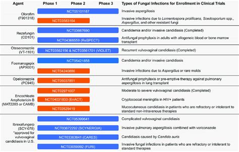 | New antifungal drugs in the clinical pipeline. Antifungals that are ...