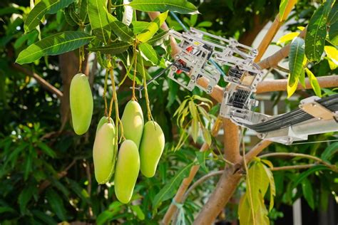 Precision Agriculture Technology: The Future of Precision Farming using IoT | Digiteum