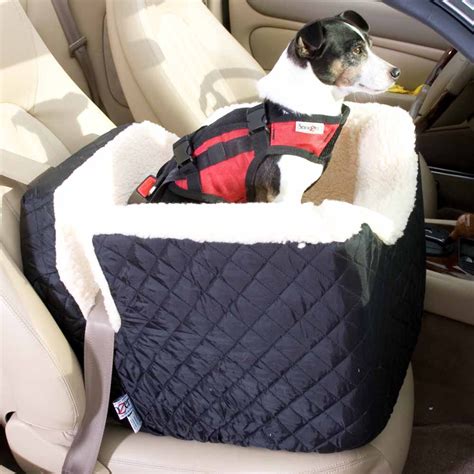 8 Gadgets For a Dog Friendly Road Trip | Healthy Paws Pet Insurance