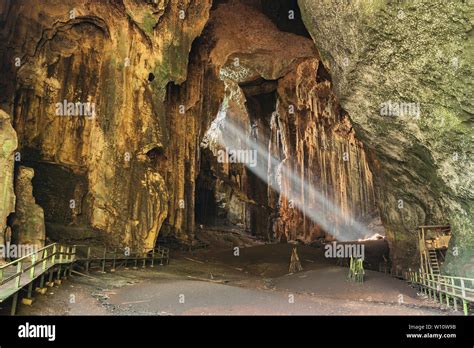 The Gomantong Caves are an intricate limestone cave system inside Gomantong Hill, Sandakan ...