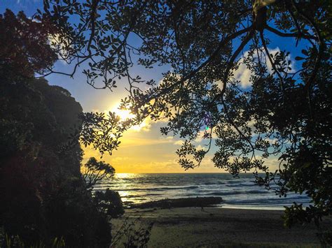 New Zealand, sunset in Piha beach | The Sidewalk Secrets