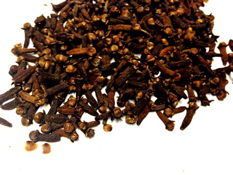 Organic Cloves | World Seed Supply