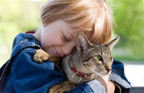 An Adorable Gallery of Cats and Kids Hugging