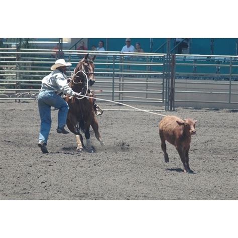 How to Make Calf Roping Dummies | Healthfully