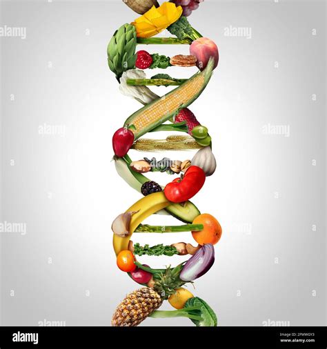 Genetically Modified Crops Poster