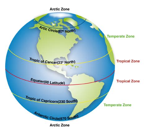 Climate/Biomes in 2023 | Teaching geography, Geography activities, Geography lessons