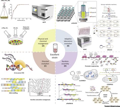 High-Throughput Screening Technology in Industrial Biotechnology: Trends in Biotechnology