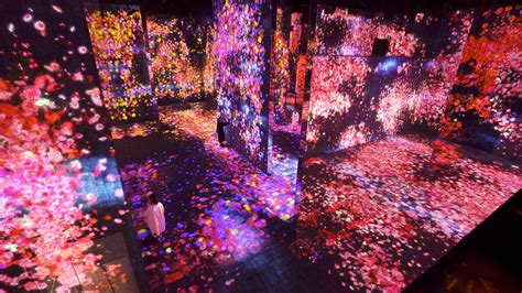 TeamLab SuperNature Macao to unveil three new permanent art spaces