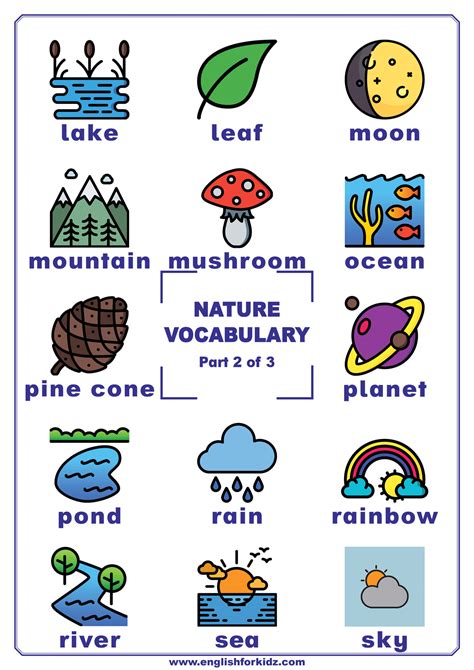 Nature Vocabulary Posters